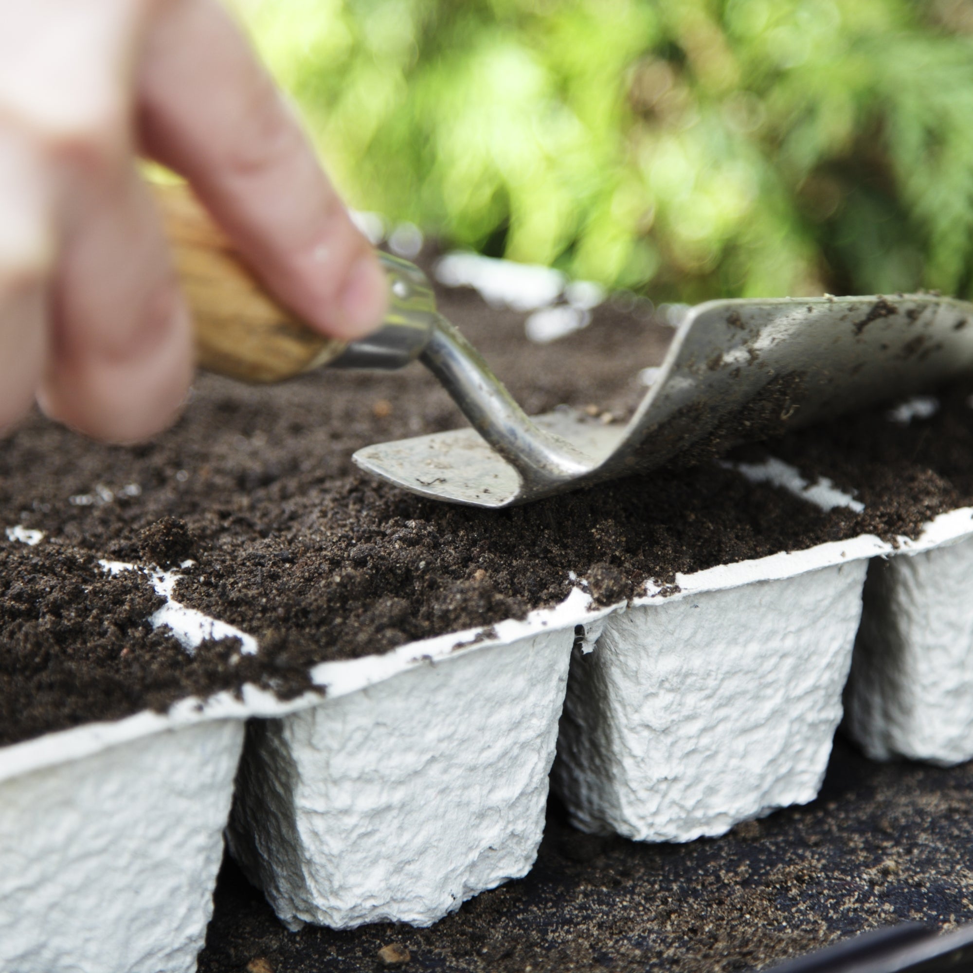 biodegradable material in use