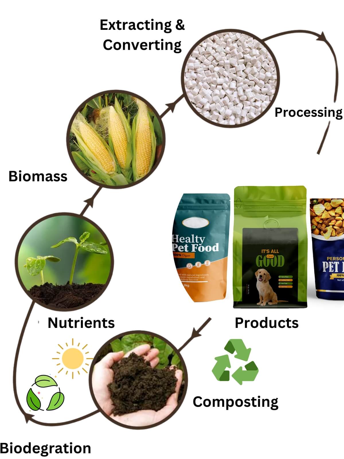 Anacotte sustainability lifecycle