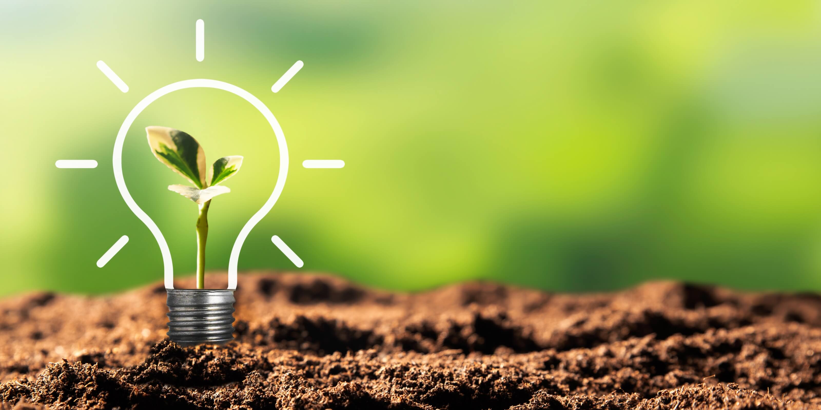 The future of sustainability