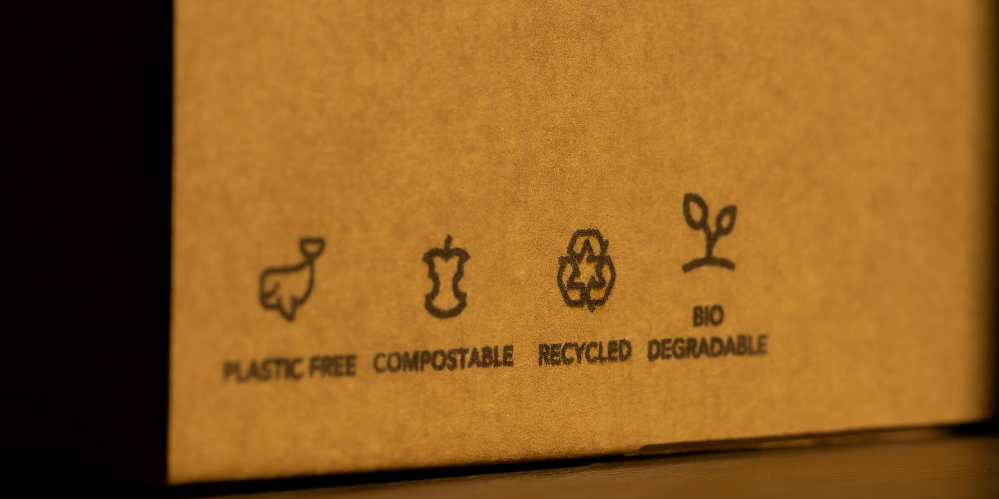 Compostable and biodegradable box